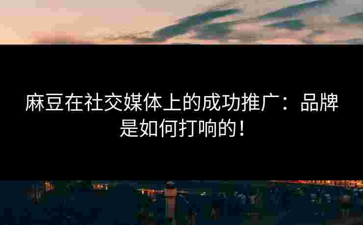 麻豆在社交媒体上的成功推广:品牌是如何打响的!